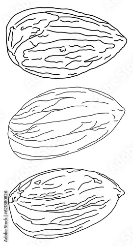 Almonds Sketch Set Of Three