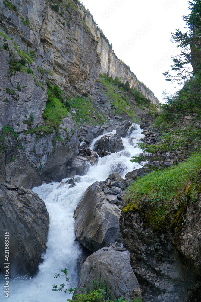 Obraz premium Mountain river going through a forest