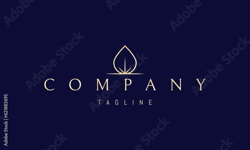 Vector golden logo on which an abstract image of a drop of water shining from the inside personifies purity.