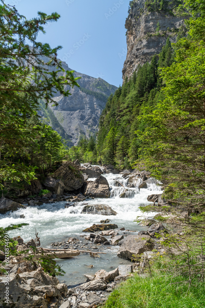 Fototapeta premium Mountain river going through a forest