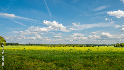 Air sunny summer landscape with large meadow, far forest under blue sky with white clouds. Natural summer background.