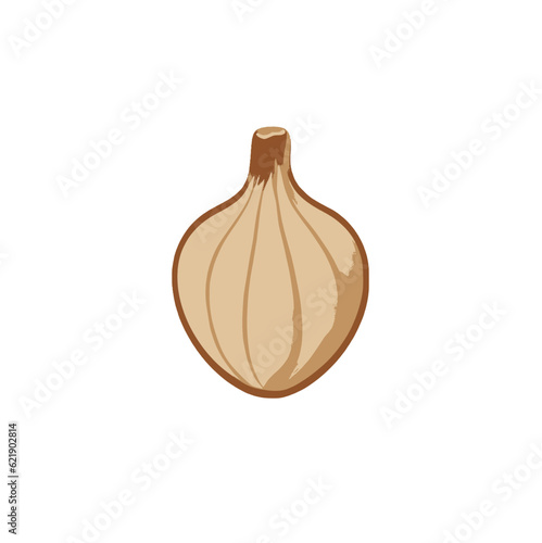 garlic vector design 