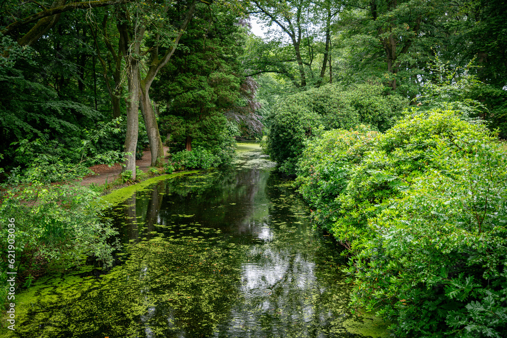 Fototapeta premium a pond bordered by trees with red and green foliage