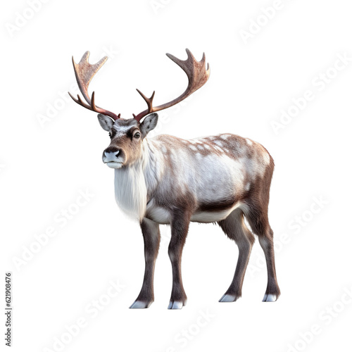 Isolated PNG cut out of a Christmas reindeer  Generative ai