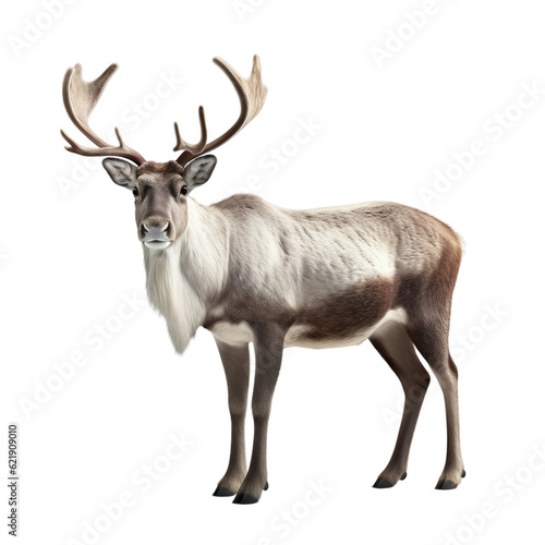 Isolated PNG cut out of a Christmas reindeer  Generative ai