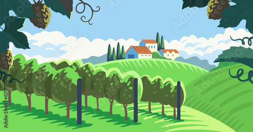Rural landscape with vineyard. Vine plantation hills