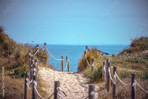 Fototapeta Naklejka Na Ścianę i Meble -  Sand pathway between the dunes at the Saler beach in Valencia, Spain. Protected natural area in sunny Mediterranean coast. Vegetation and blue sea. Perfect landscape. Copy space for the text. Postcard