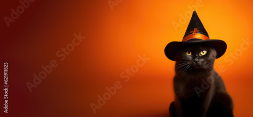 Black cat in a witch hat halloween background