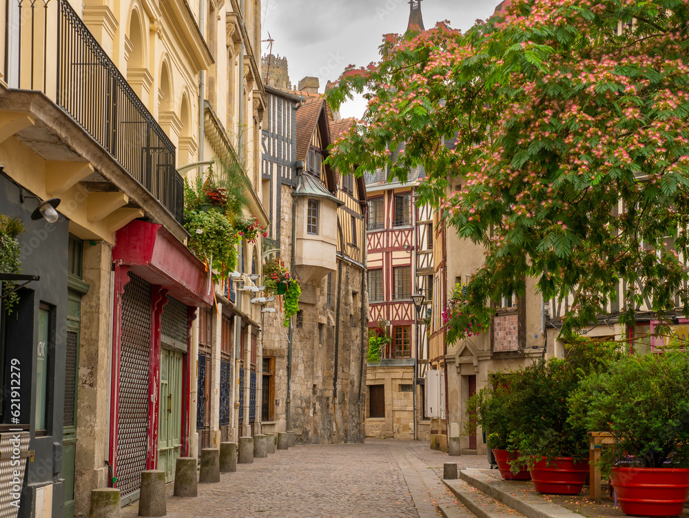 A view of the place and street saint amand, in the historic center of rouen, with shop fronts and a beautiful mimosa tree