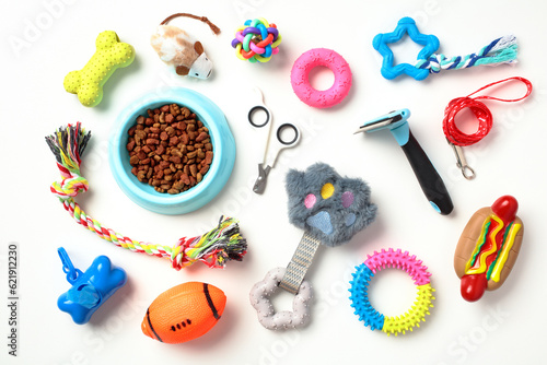 Photography Pet care, training concept