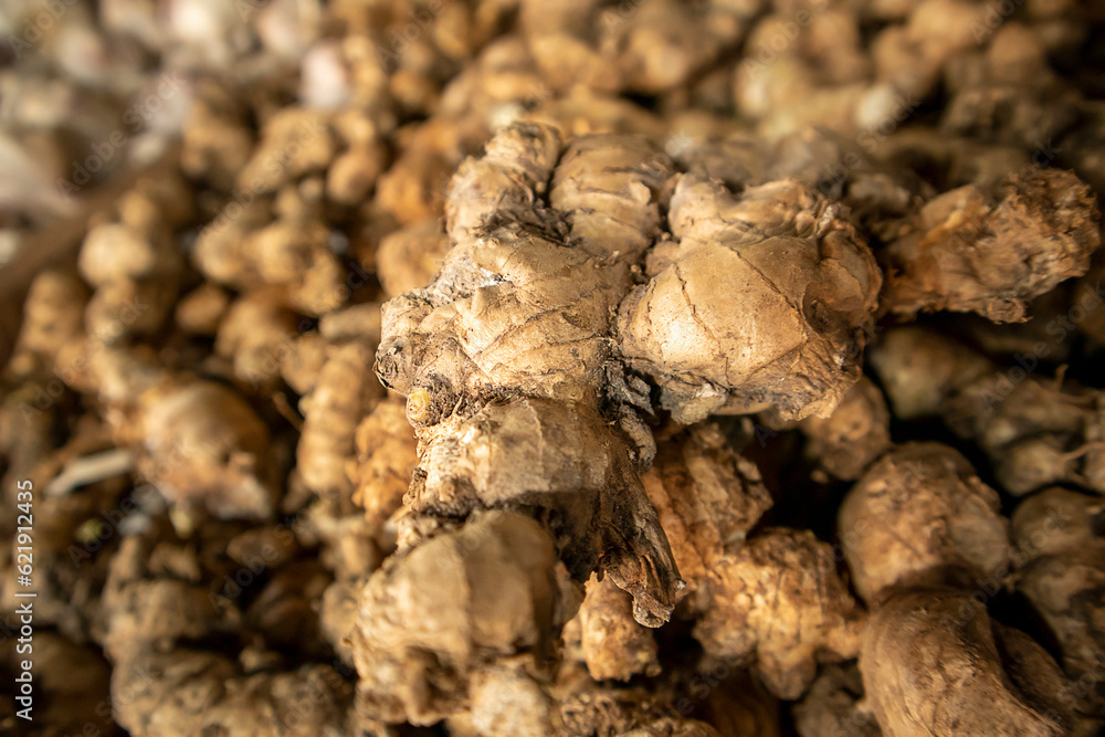Close up of ginger root, selective focus