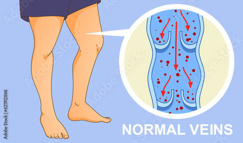 Healthy human body. Schematic representation of veins. Healthcare illustration. Vector illustration. 
