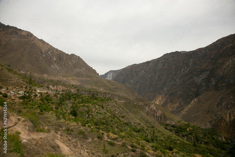 Hiking through the Colca Canyon following the route from Cabanaconde to the Oasis. Hiking through the Colca Canyon following the route from Cabanaconde to the Oasis.
