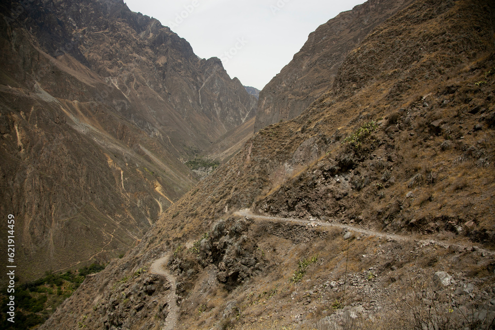 Hiking through the Colca Canyon following the route from Cabanaconde to the Oasis.
