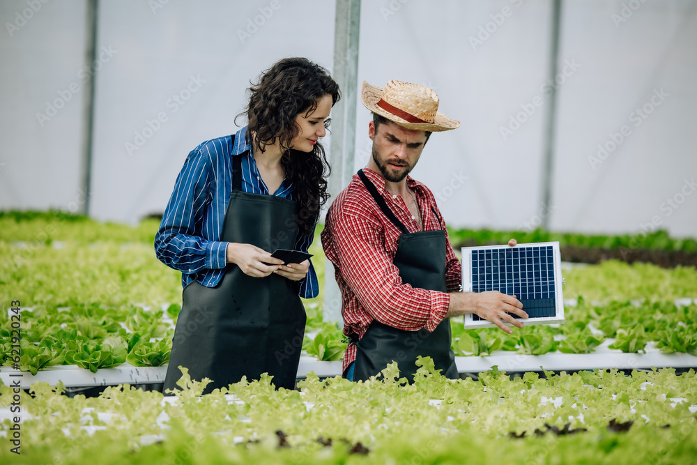 Fototapeta premium Veggie farm owners assess potential of installing solar panels to improve resource efficiency and save electricity costs. Environmentally friendly, budget-conscious of material prices, gear selection