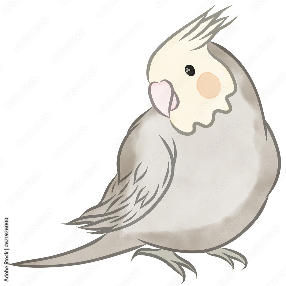 Learn How to Draw a Cockatiel Birds Step by Step  Drawing Tutorials