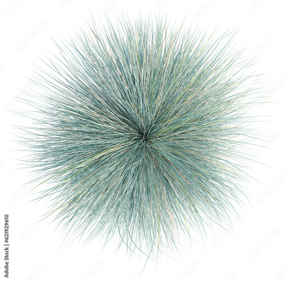 Fototapeta premium Top view of wild grass