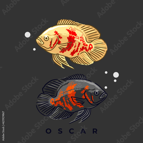 oscar fish vector in two color scheme on dark background. use for illustration or logo