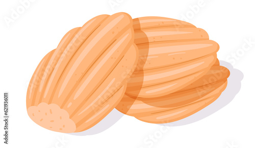 Classic french madeleine cookies. Cartoon homemade delicious biscuits, sponge shell-shaped cakes flat vector illustration