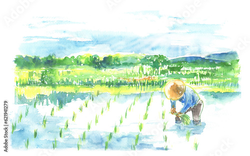 水彩で描いた田舎の田んぼの風景