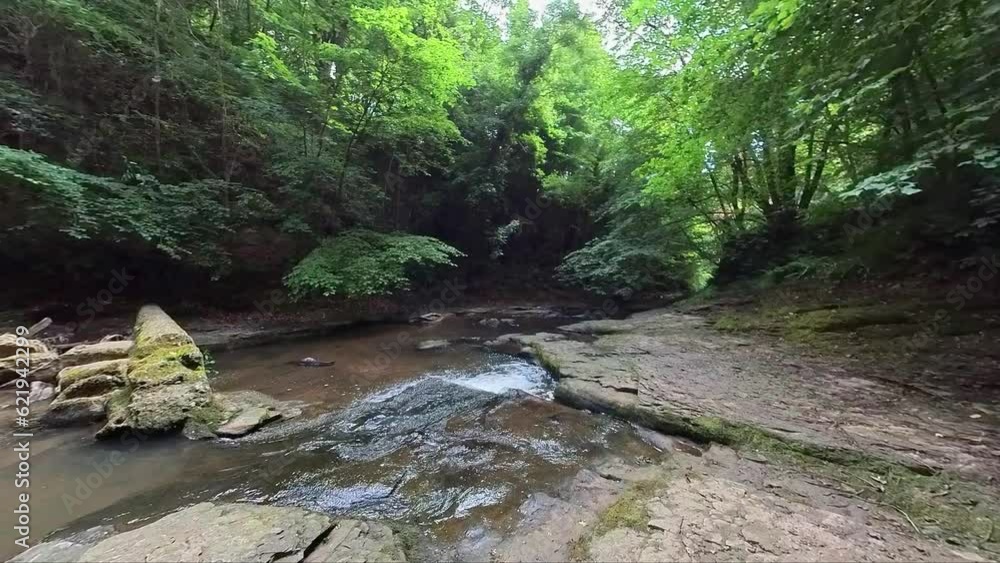 Push in shot of Saltburn Gill, a small river meandering through the Gill forest in the North Yorkshire countryside Push in shot of Saltburn Gill, a small river meandering through the Gill forest in the North Yorkshire countryside