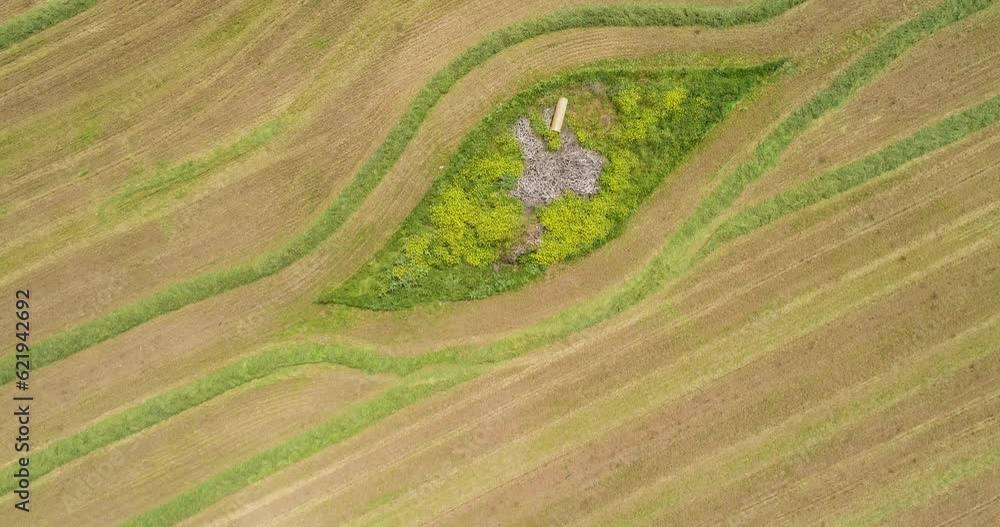 Aerial view of a agricultural machinery at action in a wheat field, Kibbutz Saar, Israel. Aerial view of a agricultural machinery at action in a wheat field, Kibbutz Saar, Israel.