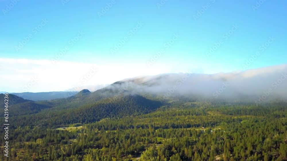 Aerial Shot Of Natural Green Landscape Against Blue Sky, Drone Ascending Over Trees Near Mountain Range - Eleven Mile State Park, Colorado Aerial Shot Of Natural Green Landscape Against Blue Sky, Drone Ascending Over Trees Near Mountain Range - Eleven Mile State Park, Colorado