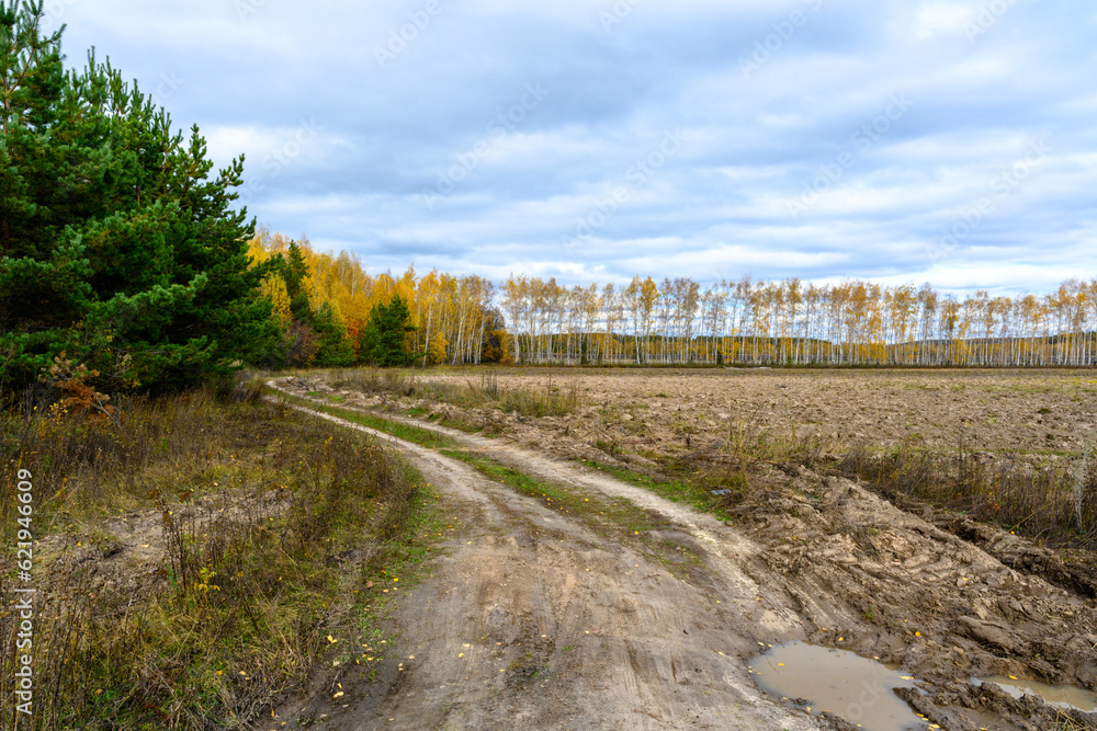 Fototapeta premium Rural road on an autumn day. Autumn road through a rural field landscape