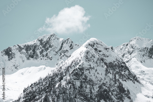 Mountain peaks covered with snow and a small cloud above them in a light blue sky. Swiss Alps. © IRINA NAZAROVA