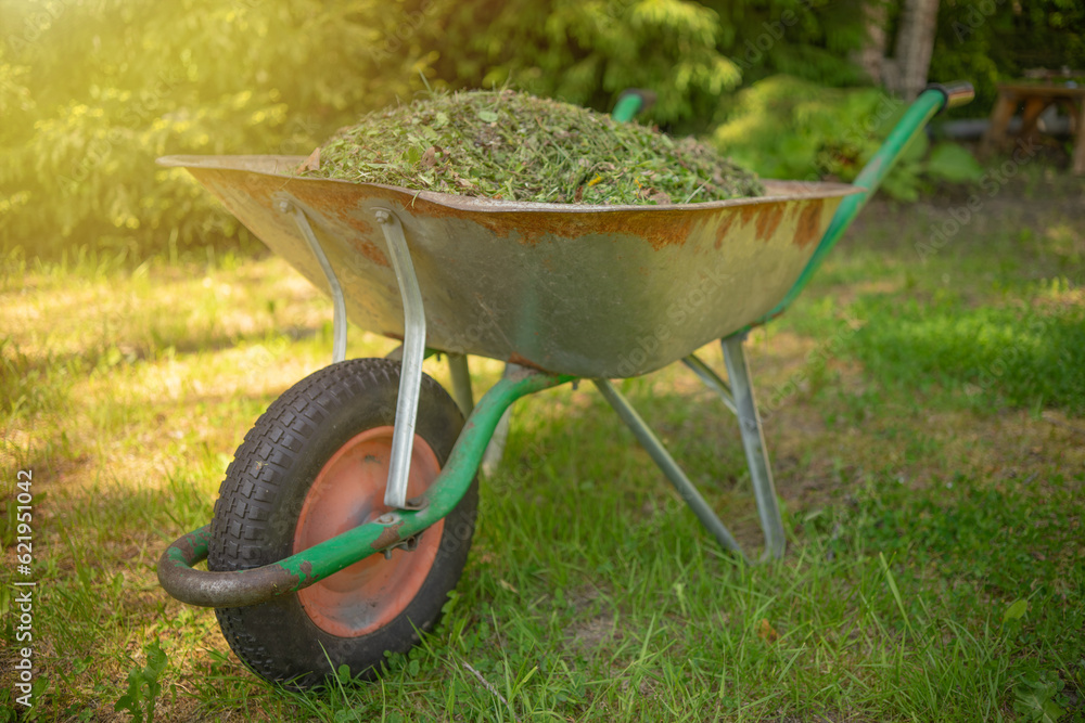 A garden cart with mown grass.Cleaning the garden.To carry garden garbage in a cart on a wheel. A garden cart with mown grass.Cleaning the garden.To carry garden garbage in a cart on a wheel.