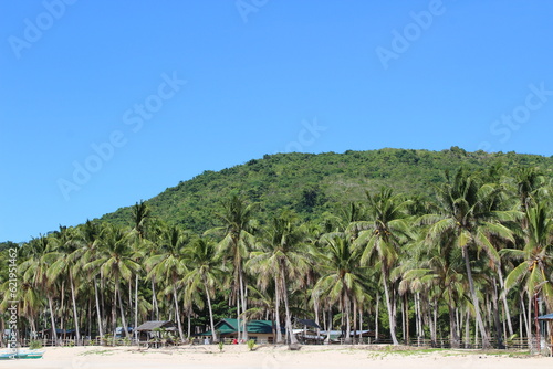 Paisajes de mar, palmeras y montañas de isla paradisiaca filipina