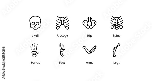 Human Bones icons set, vector stock illustration.