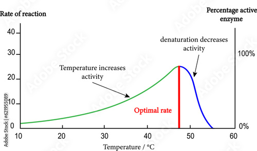 The effects of temperature on enzyme activity , vector illustration
