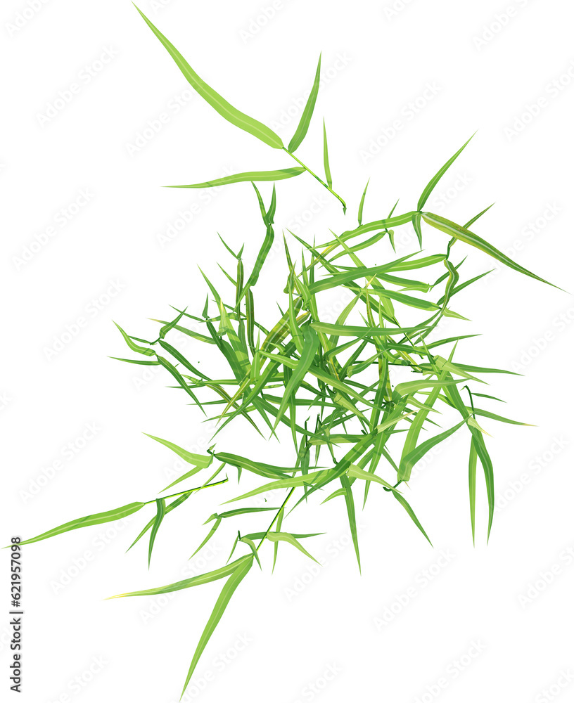 Naklejka premium Top view of wild grass