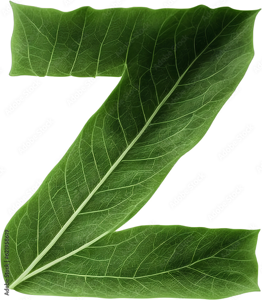 Fototapeta premium Green leaf typography text design lowercase alphabet z