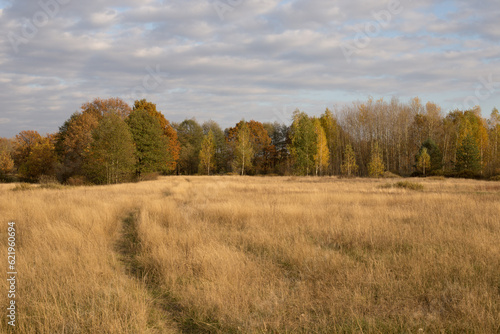 Autumn landscape, spacious fields with dense and bright grass