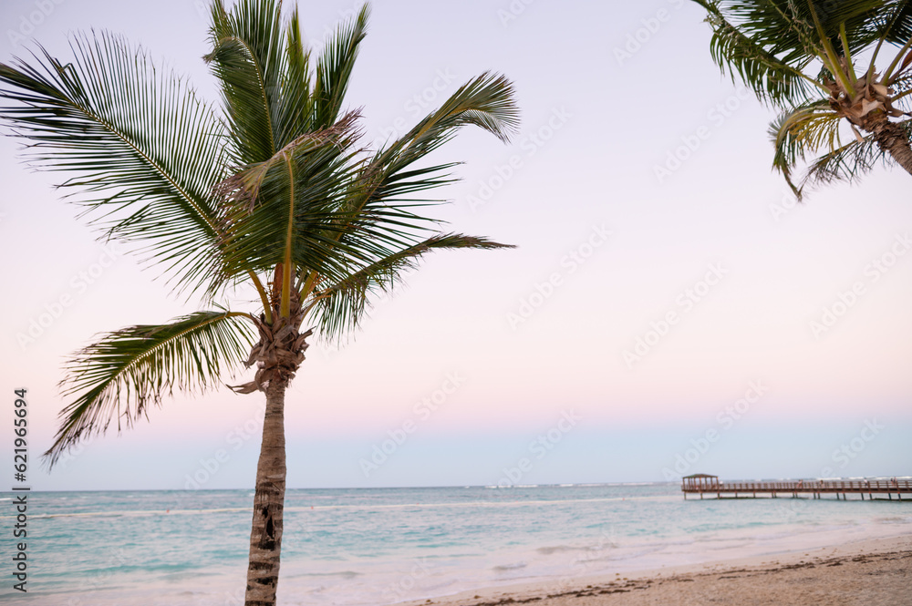 Palm tree on the beach, sea and pier in the distance. Twilight. Summer vacation, beach, solitude, relaxation, vacation, romance.