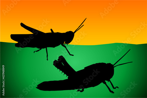 saltamontes, silueta, insecto, vector, illustracion