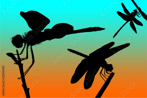 libelula, contraluz, atardecer, figura, vector