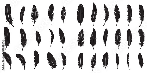 Set of silhouette feather vector collection