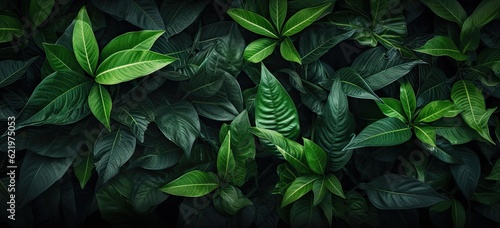 Closeup green leaves background, Overlay fresh leaf pattern, Natural foliage textured and background. Created with Generative AI technology. © lililia