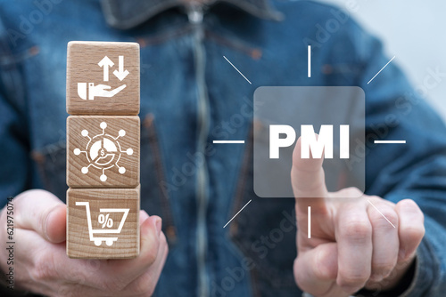 Man holding wooden cubes sees abbreviation: PMI. Concept of PMI - Purchasing Managers Indexes. Manufacturing and Service Sector Economic Outlook Index. PMI Project Management Institute. photo