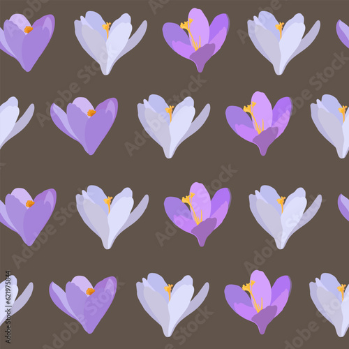 Collection of crocuses and saffrons. A set of spring purple, yellow and white crocuses. Vector illustration of beautiful multicolored flowers