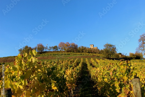 Vignoble Saint-Romain le Puy