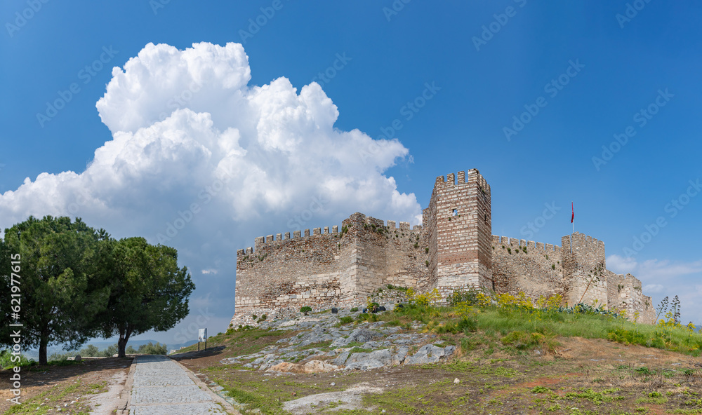 Selcuk or Ayasuluk Castle