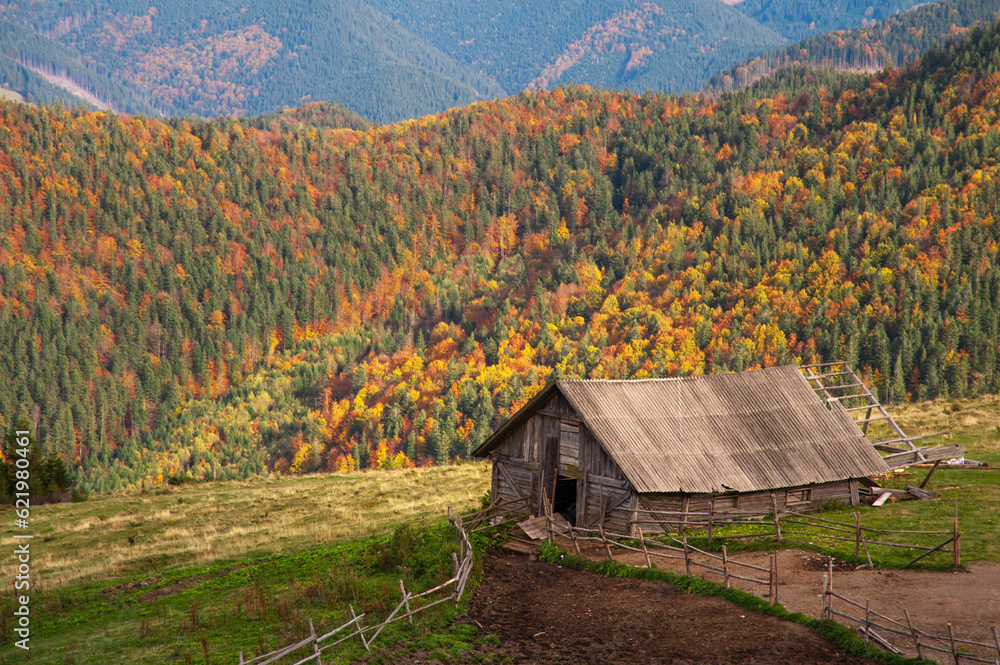 rural autumn background. mountains and colorful trees.