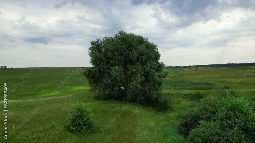 Departure from the tree on the drone. the tree moves away