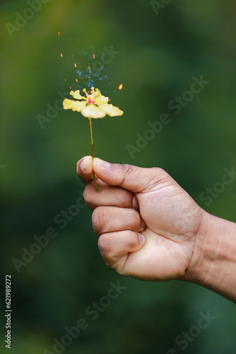 flower in garden