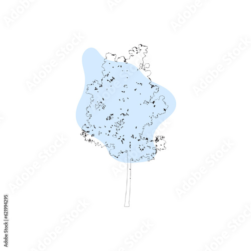 water splash isolated on white background