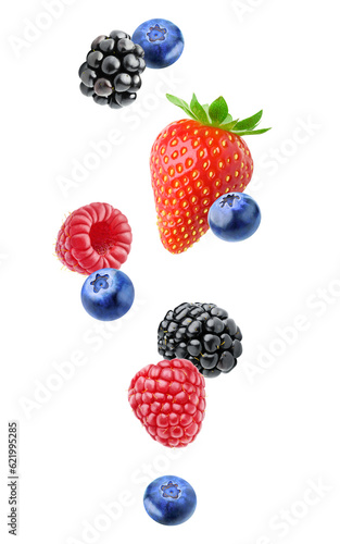 Levitating fresh berries (blackberry, raspberry, blueberry and strawberry) cut out
